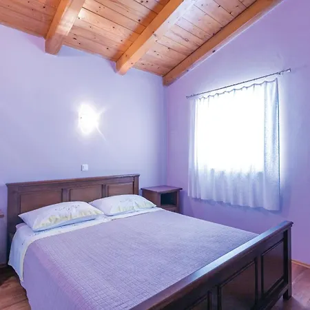 Nice Home In Novaki With Wifi Holiday home Novaki Pazinski