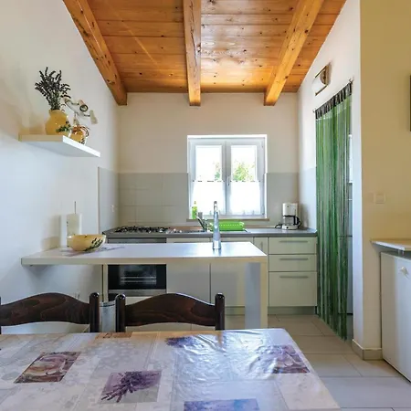 Holiday home Nice Home In Novaki With Wifi Novaki Pazinski